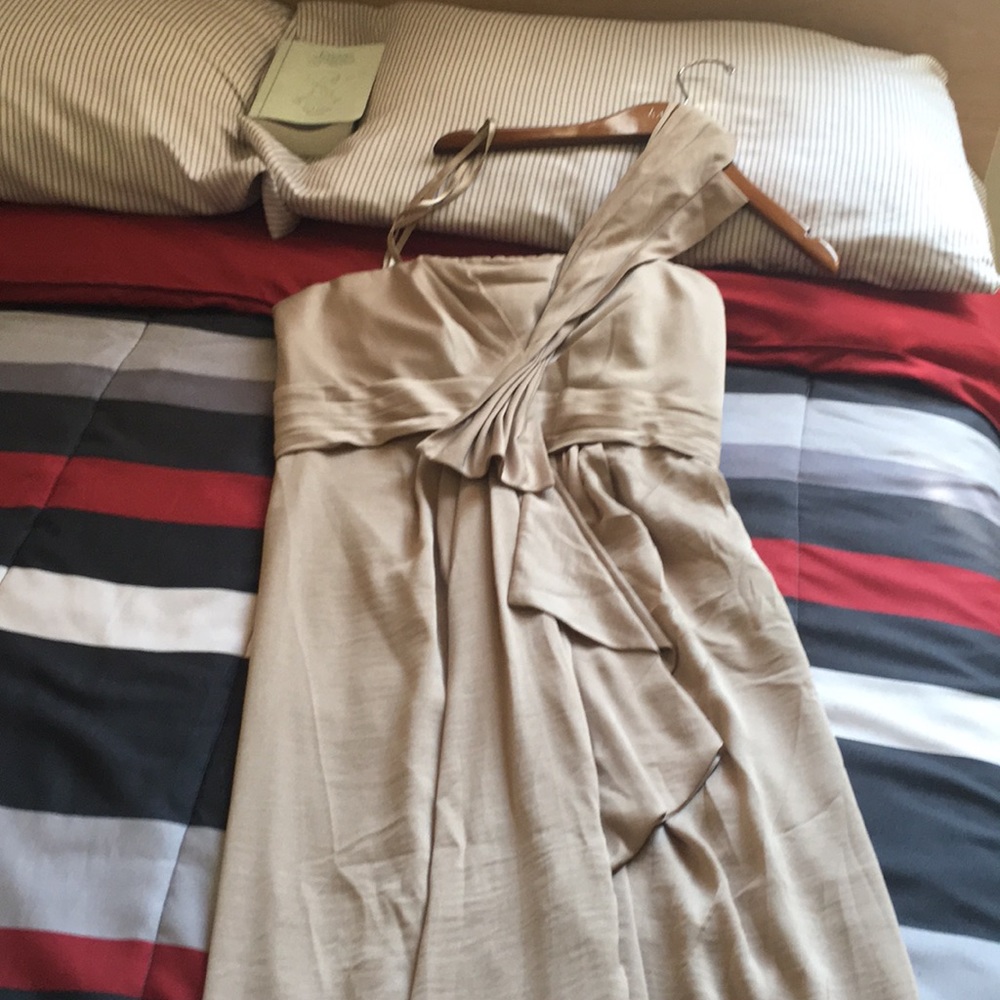 Bcbgmaxazria size 10 dress